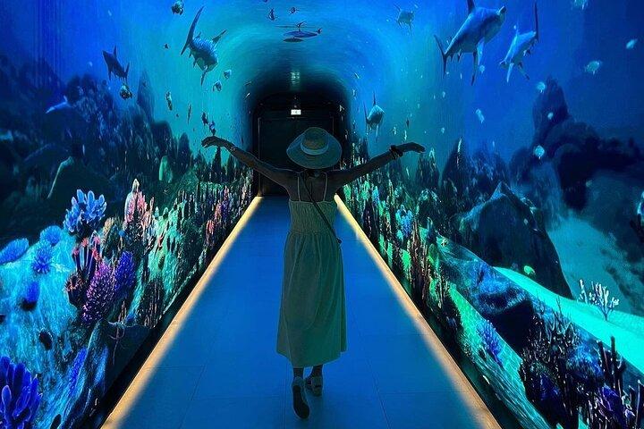 Voir le billet d'entrée au Palm