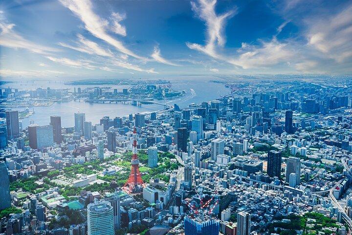Full Day Private Shore Tour in Tokyo from Tokyo Cruise Port