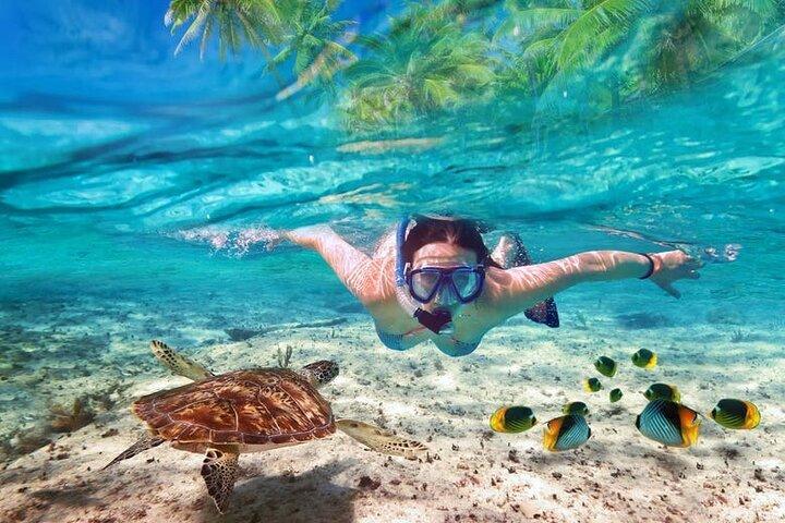 Visita guiada a Puerto Morelos com mergulho com snorkel incluído