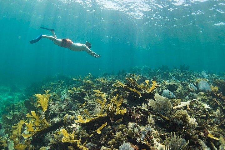Visite guidée à Puerto Morelos avec plongée en apnée incluse
