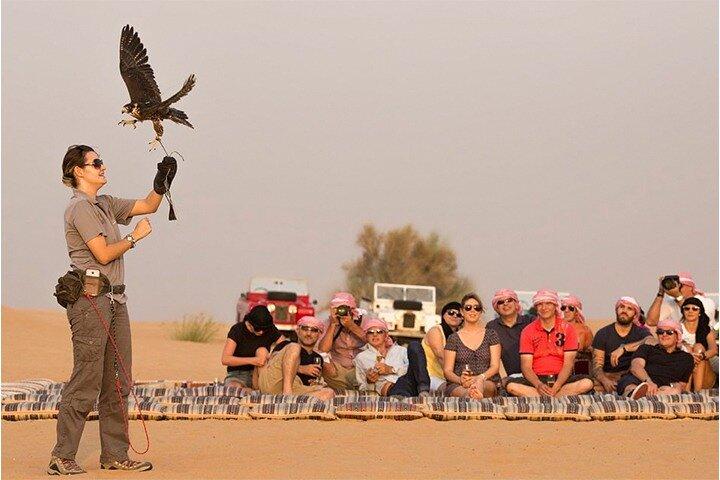 Sunset Desert Safari Dubai med kamelritt och sandboarding