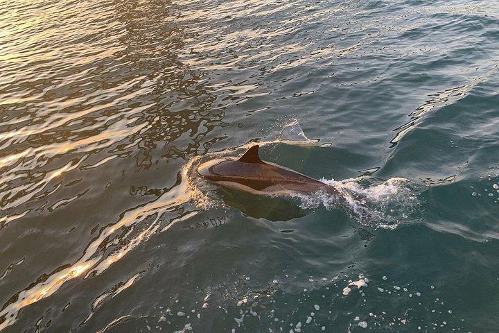 PRIVATE BOAT TOUR Lisbon