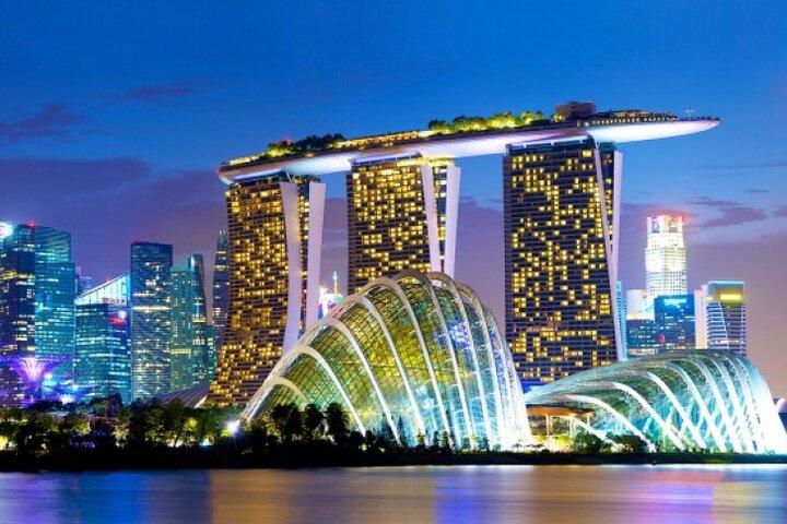 Tour guidato privato di mezza giornata attraverso i monumenti iconici di Singapore