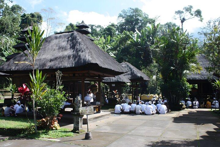 Jatiluwih VW Safari Bali Tour - Volkswagen Classic Car Trip