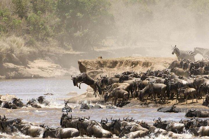 8 Days 7 Nights Safari and Culture Tour in Kenya and Tanzania