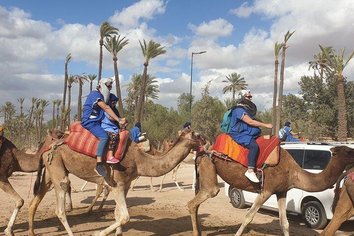 Private Majorel garden and Camel ride