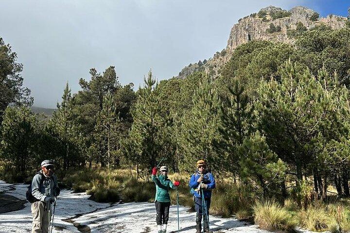 メキシコシティ発ラ シーマ デ ラ マリンチェへの小旅行
