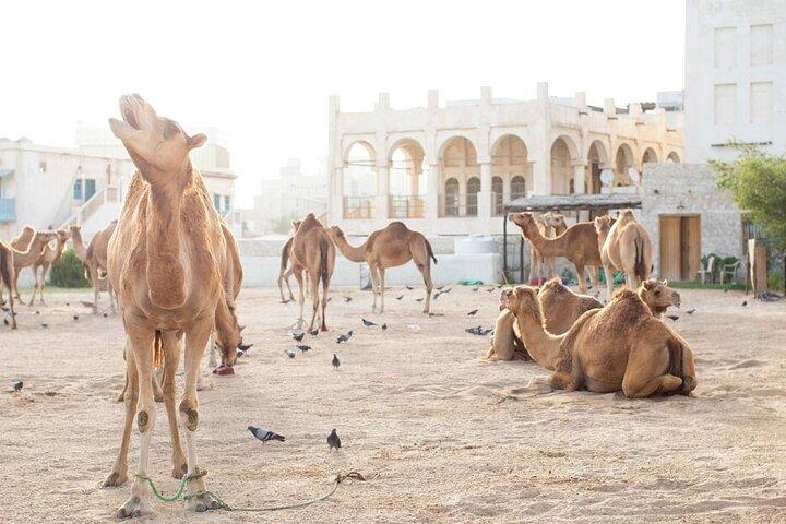 Private Stadtführung durch Doha zu allen Hauptattraktionen