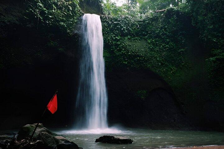 Private Ganztagestour: Die Schönheit der Wasserfälle von Bali