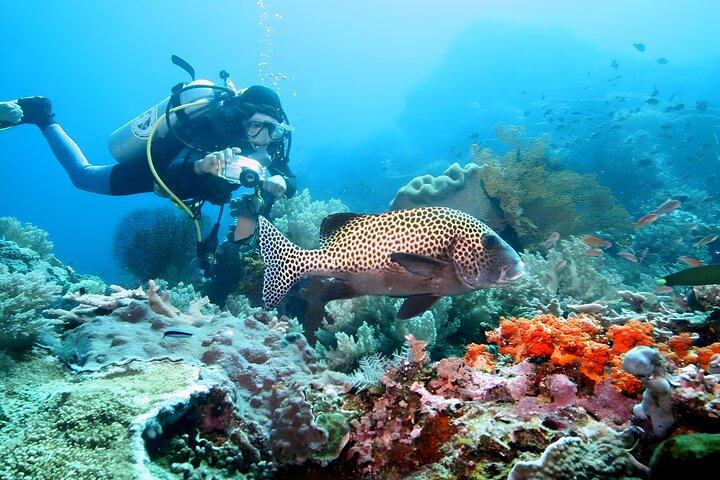 Tanjung Benoa Sport acquatici: il polo di avventura di Nusa Dua