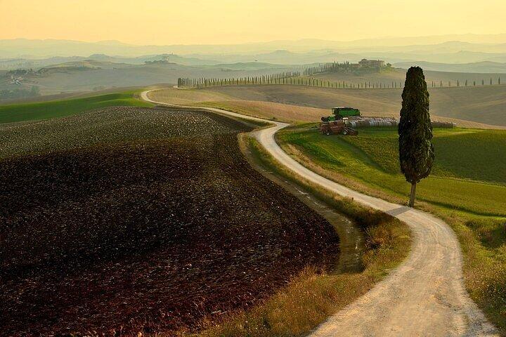 Visite guidée dans la magnifique Toscane