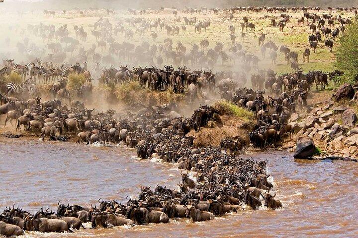 Safari privé d'une nuit à Maasai Mara