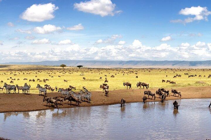 Safari privé d'une nuit à Maasai Mara