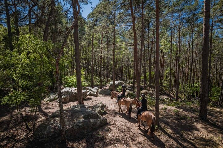 Day Trip to Fontainebleau : Horse Riding, Gastronomy and Castle