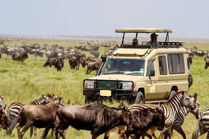 6 Days Masai Mara Wildebeest Migration Safari Holiday