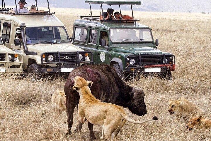 7 Days Breathtaking Kenya Big 5 Wildlife Safari