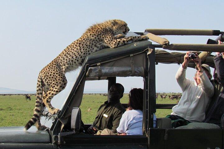 3 days Maasai Mara Camping Safari On 4X4 Land Cruiser Jeep