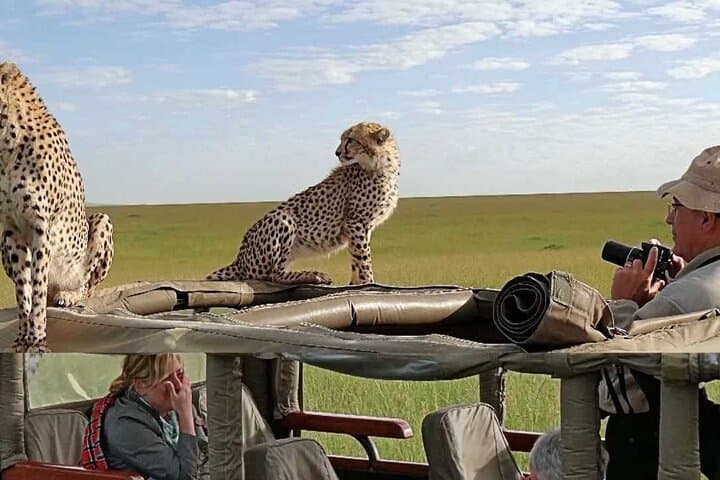 3 days Maasai Mara Camping Safari On 4X4 Land Cruiser Jeep