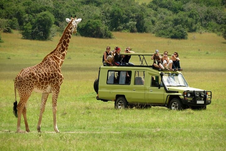 Kenya Eleven Day Luxury Safari and Wildlife Adventure