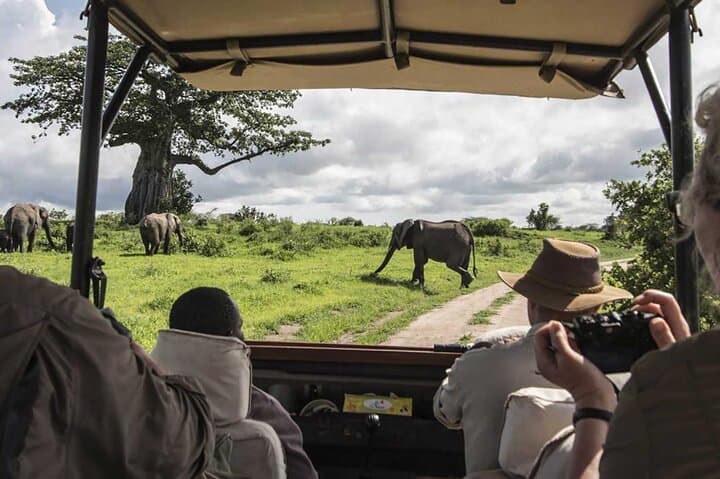 Kenya Eleven Day Luxury Safari and Wildlife Adventure