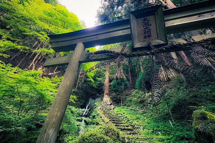隠れた京都の絶景緑茶畑＆ご当地茶Exp（プライベート）