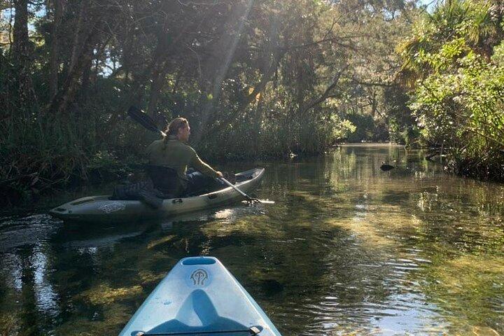 Private Chassahowitzka River Exploration kayak tour