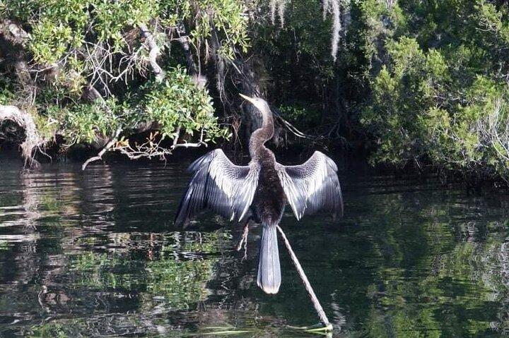 Private Chassahowitzka River Exploration kayak tour