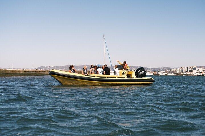 Från Faro: Ria Formosa Eco Tour guidad av marinbiolog