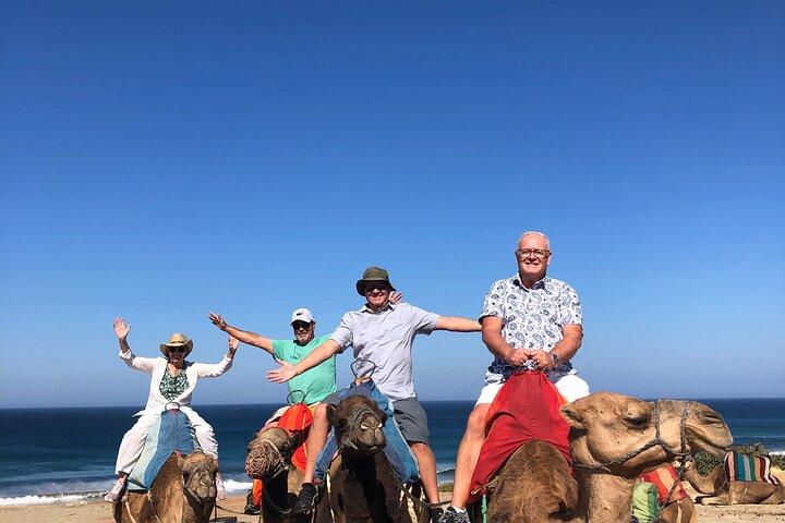 Tanger Private Tour : Medina , Souks, Kasbah, Höhlen & Kamelreiten