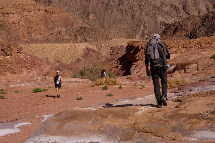 Excursão de 2 dias de caminhada em canyoning colorido e Wishwashi no Sinai