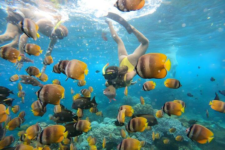 Snorkel En Nusa Penida Saliendo Desde La Isla De Bali