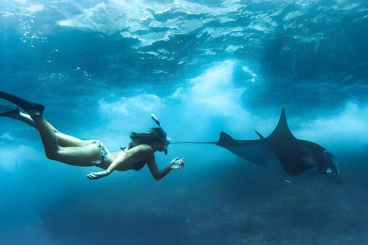 Passeios pela praia da Ilha Nusa Penida com mergulho com snorkel saindo de Bali
