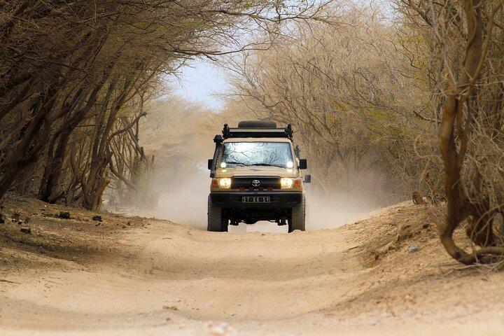 Expedición en Jeep Boa Vista : Shipwreck & Viana Desert (4 - Hora)