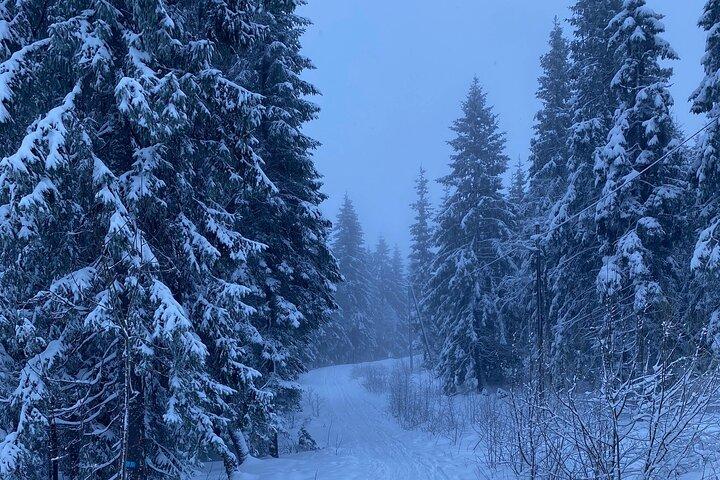 Ski de fond Oslo avec Fireside « Kos »