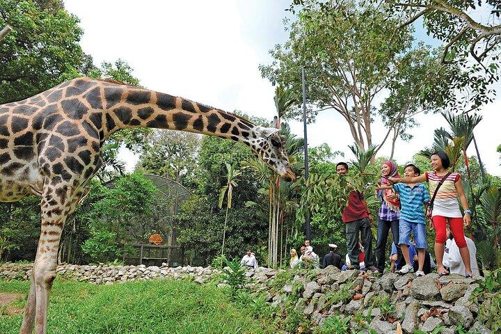 クアラルンプール発マラッカ庭園、博物館、動物園ツアー (昼食付き)
