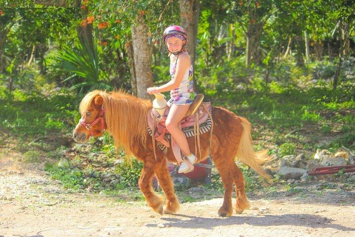 Paseos a caballo, Cenote y tirolina Aventura en la selva