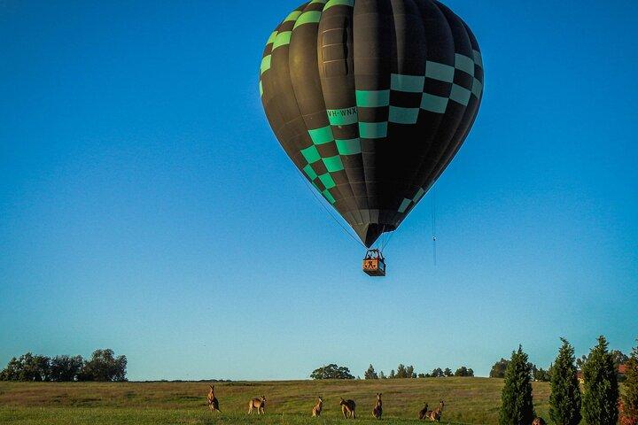 Midweek varmluftsballonflyvning i Hunter Valley