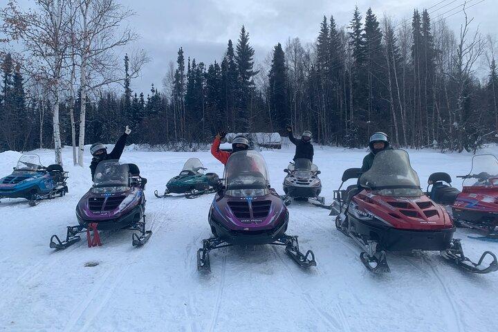 1-stündige Schneemobiltour in Fairbanks, Alaska