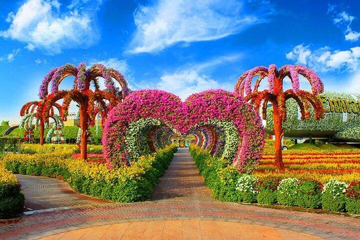 Dubai Miracle Garden Skip the Line Bilhetes