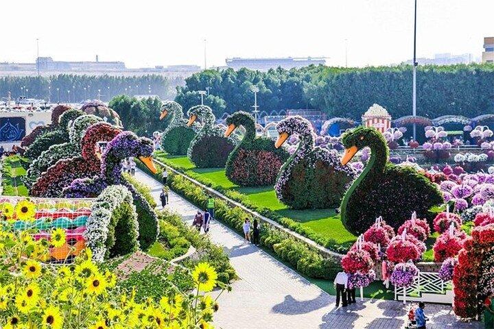 Dubai Miracle Garden Skip the Line Bilhetes