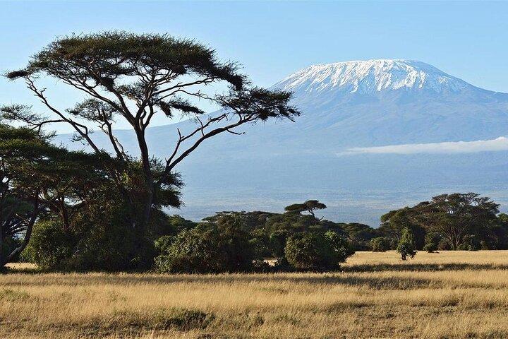 7 Tage „Taste of Kenya“-Safari-Abenteuer im 4x4 Land Cruiser Jeep