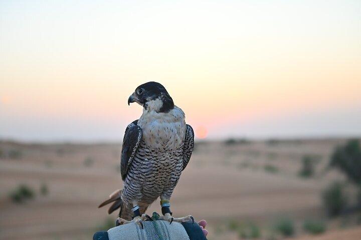 Dubaï: Burj Khalifa & Desert Safari Combo avec dîner