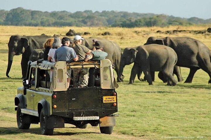 4x4 ランドクルーザー ジープに乗ってケニアの野生動物サファリを巡る 10 日間の旅