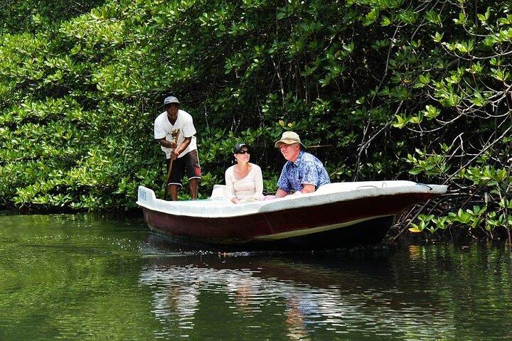Mangrove Tour at Nusa Lembongan : Kayak, Paddle and Boat