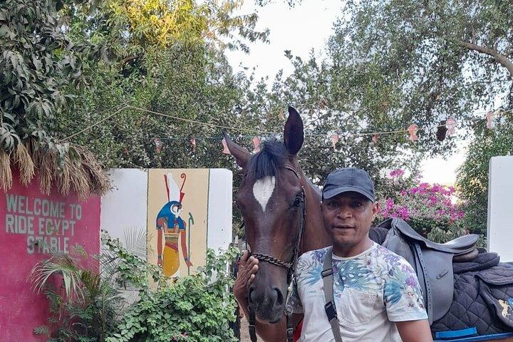Hours ride or camel ride or donkey ride in the village of luxor.