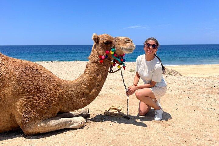 ATV und Kamelritt Combo Tour in Los Cabos