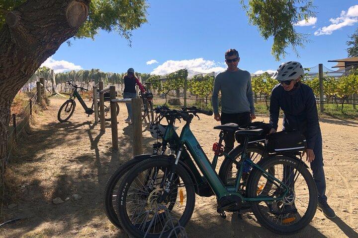ebike tour lake Dunstan wine tasting