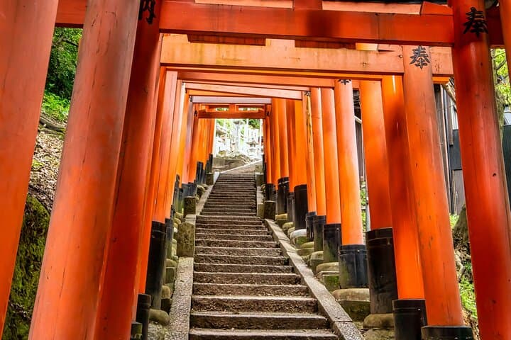 Fushimi Inari Mountain Hiking Tour with a Local Guide