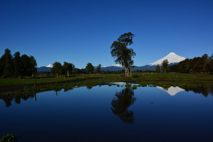 Excursión Vuelta Lago Llanquihue