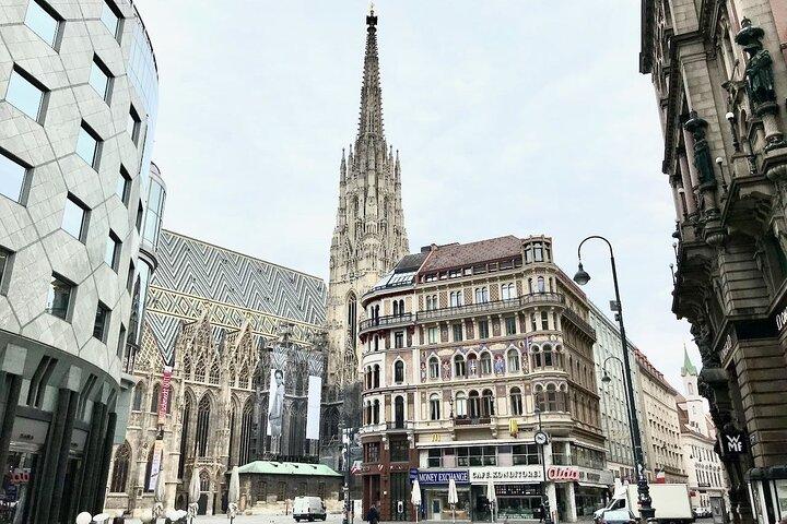 Il meglio di Vienna a piedi